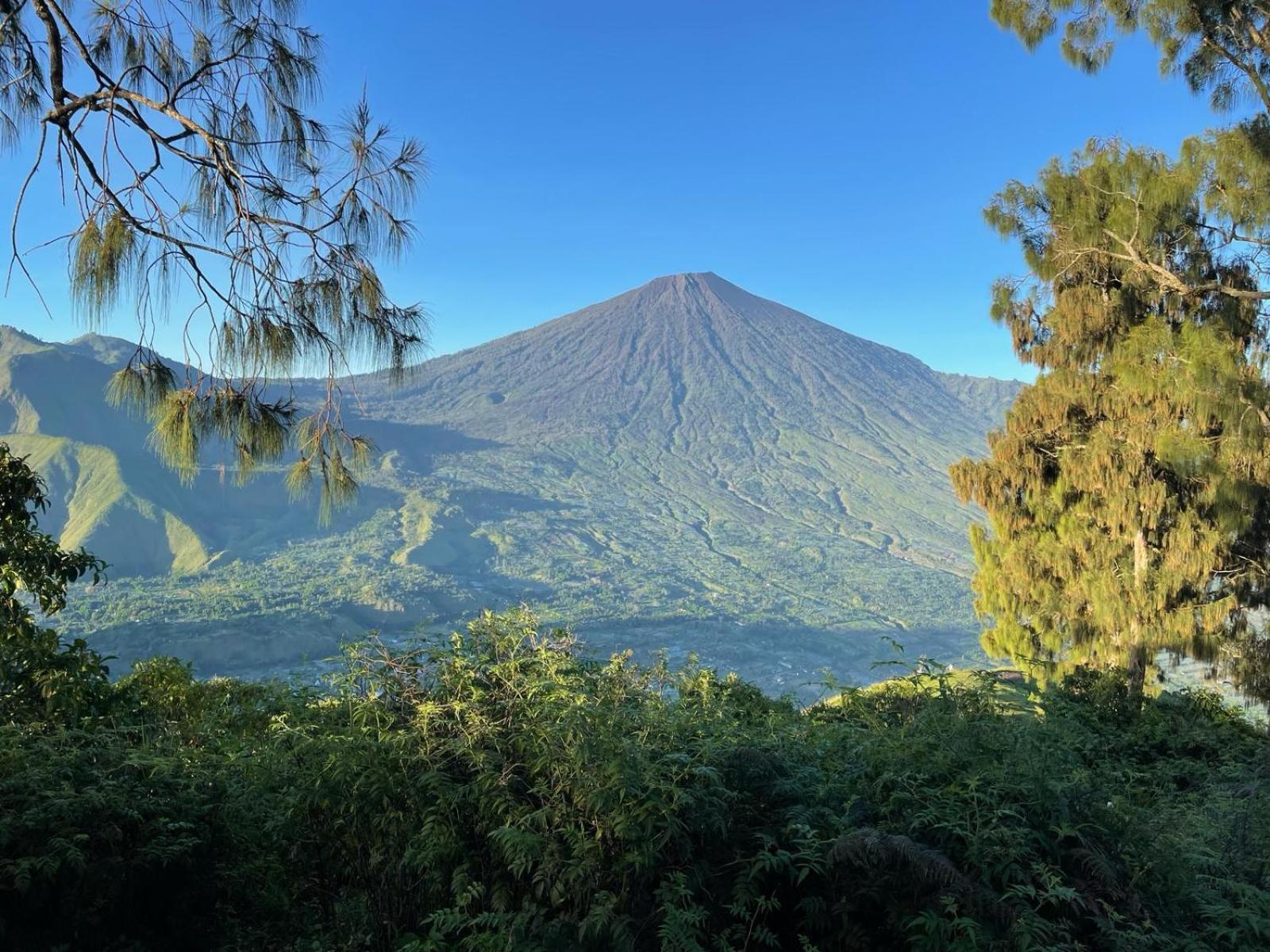 Avocado Homestay Tetebatu Eksteriør billede