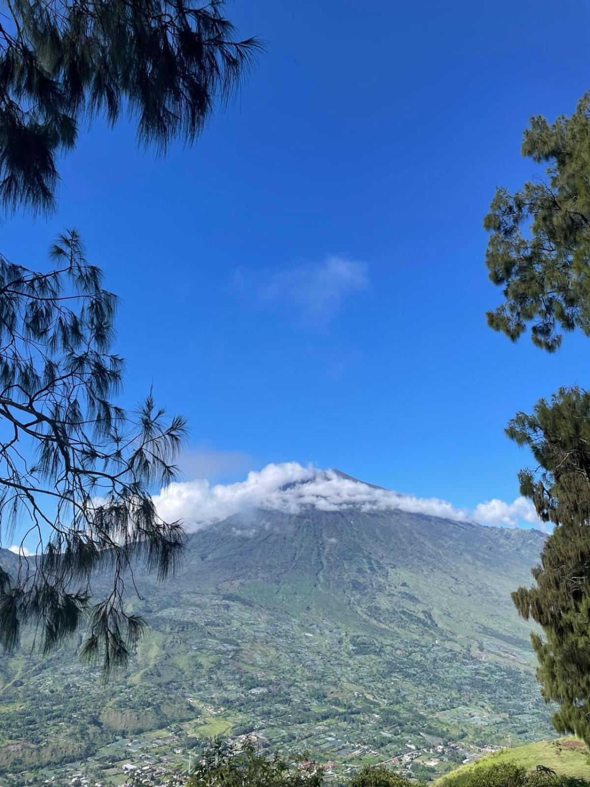 Avocado Homestay Tetebatu Eksteriør billede