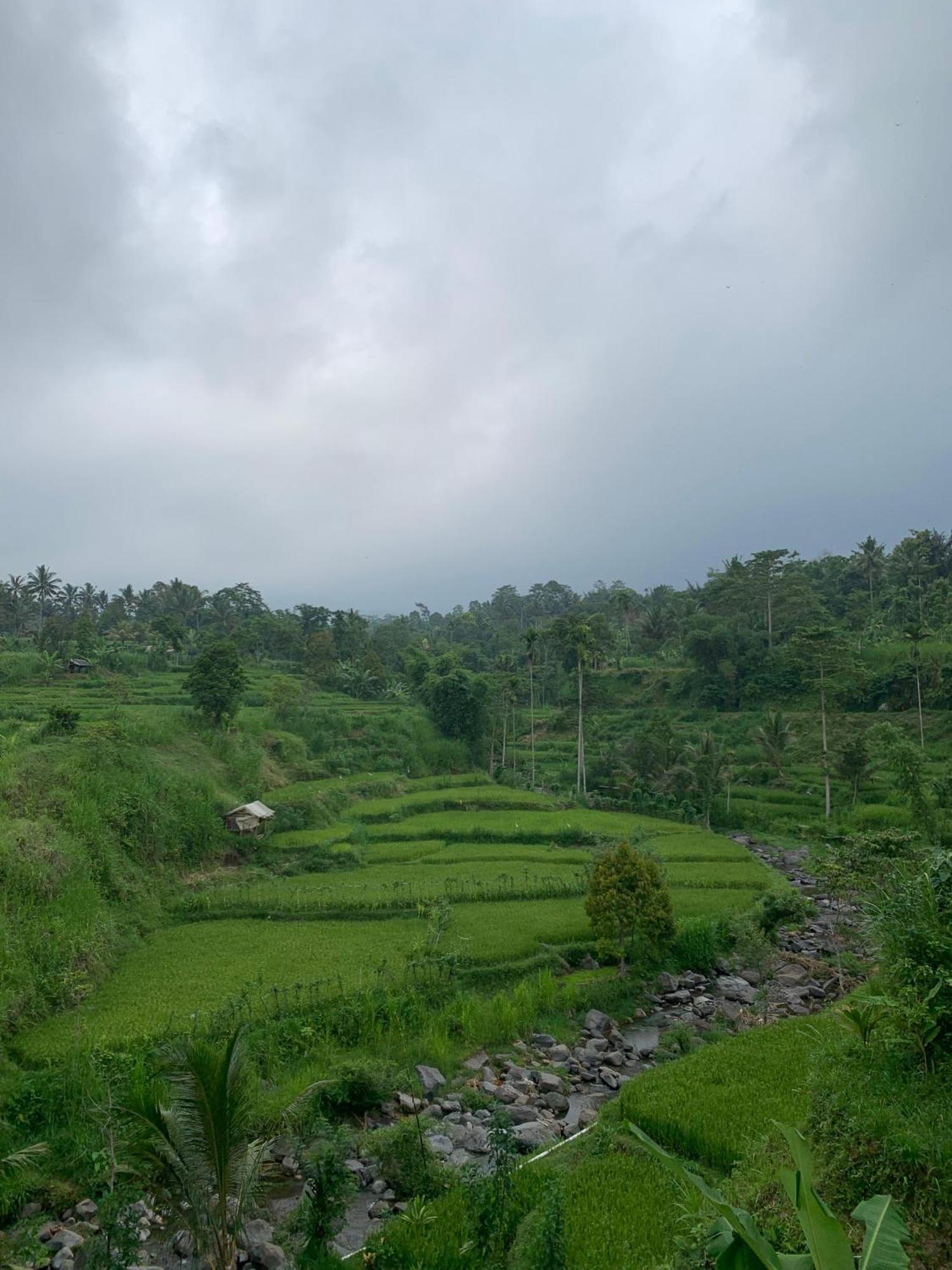 Avocado Homestay Tetebatu Eksteriør billede