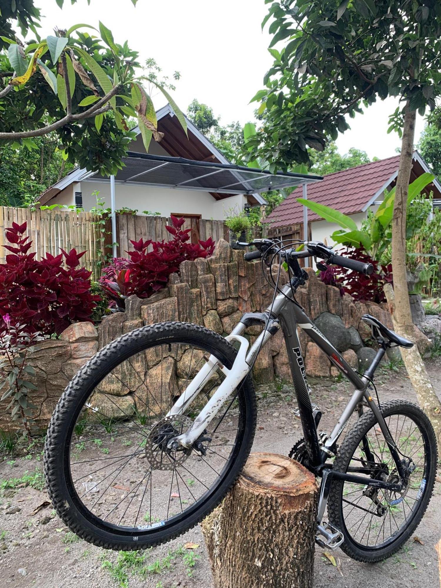 Avocado Homestay Tetebatu Eksteriør billede