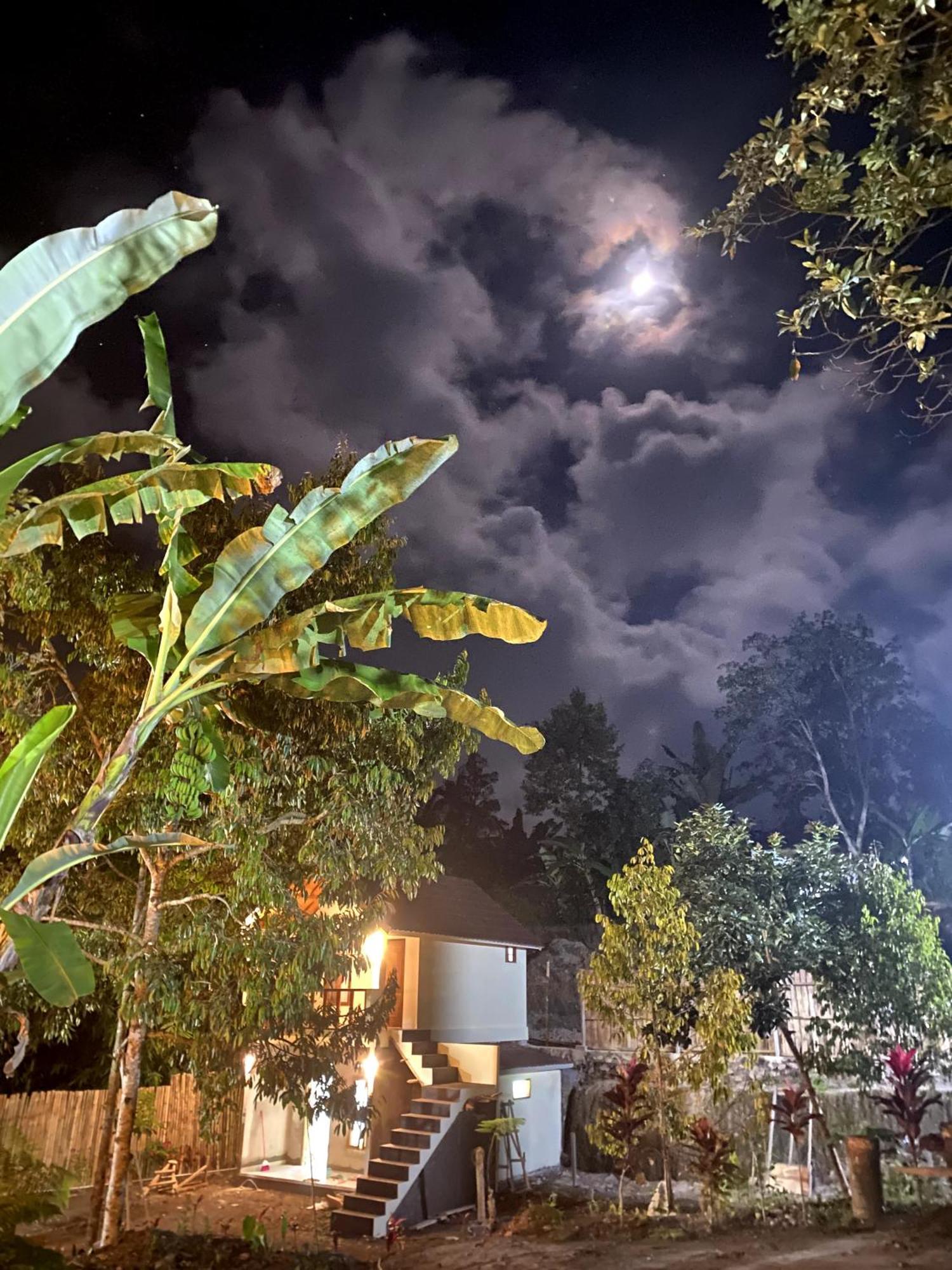 Avocado Homestay Tetebatu Eksteriør billede